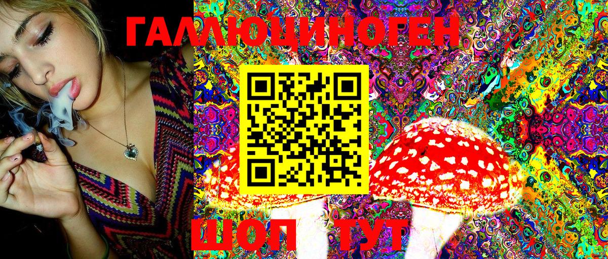 Галлюциногенные грибы GOLDEN TEACHER  Псилоцибиновые грибы Magic Shrooms  Вход с VPN  Междуреченск 