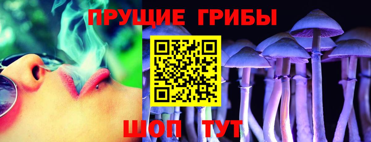 Галлюциногенные грибы мухоморы Междуреченск